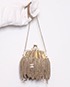 Kiss Lock CC Chain Fringe Miaudiere Clutch, front view
